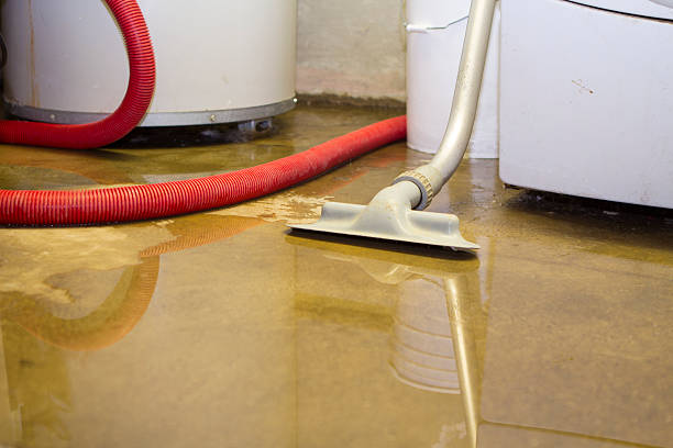 Best Commercial Water Damage Restoration in Aurora, SD